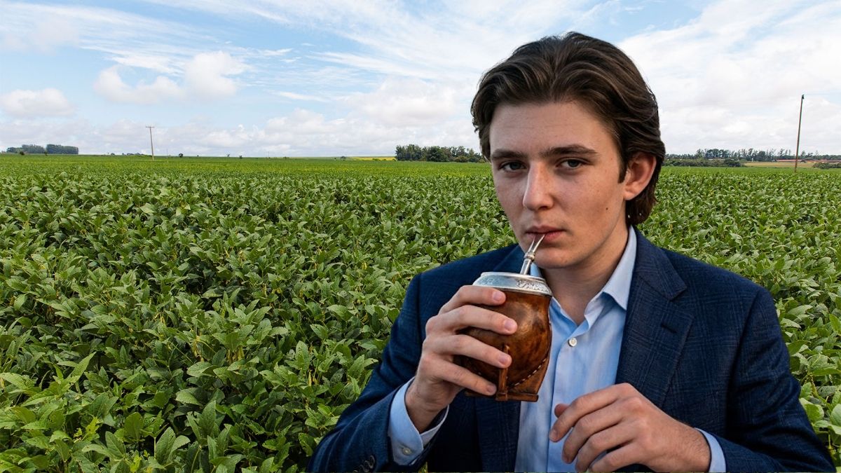Barron Trump se aleja de los bienes raíces para liderar el desembarco de la yerba mate en el mercado de las bebidas energéticas de Estados Unidos.