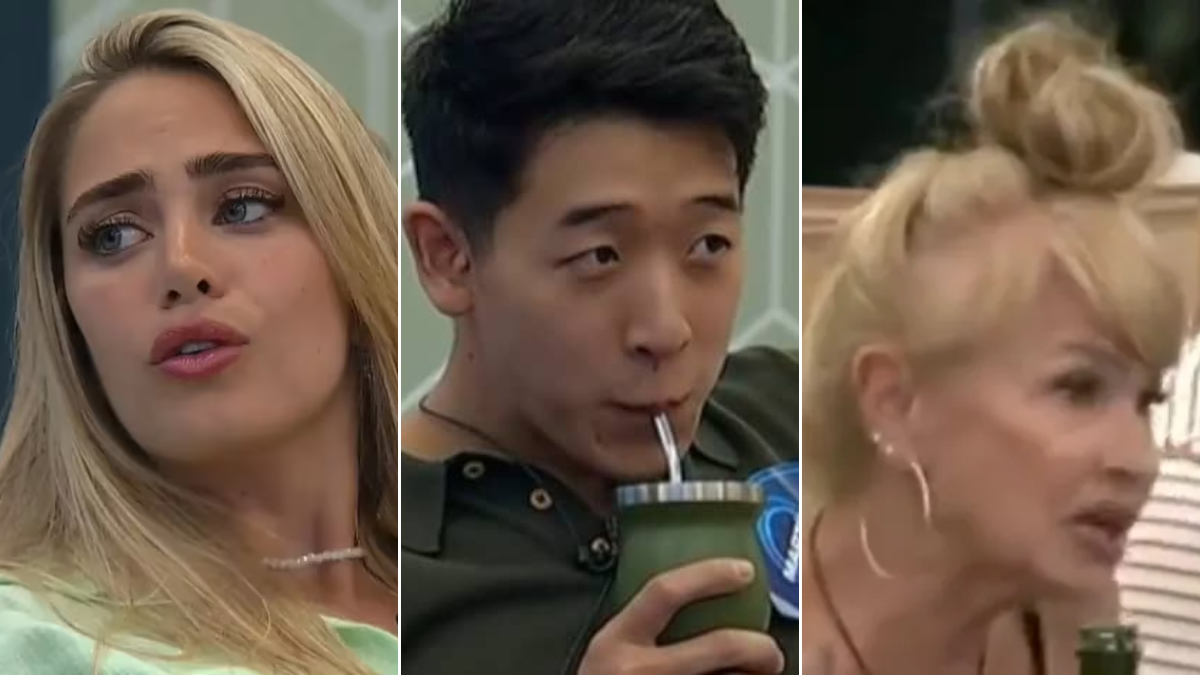 Martín, Isabel y Sabrina planean sacar a Furia de Gran Hermano. Martín, Isabel y Sabrina planean sacar a Furia de Gran Hermano.