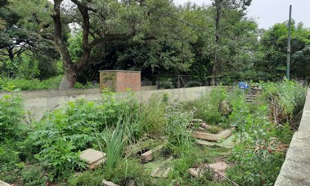 Se realizó la recorrida en la ex Granja La Esmeralda donde funcionará el proyecto Biodiversidad para la Acción Climática. Se realizó la recorrida en la ex Granja La Esmeralda donde funcionará el proyecto Biodiversidad para la Acción Climática.