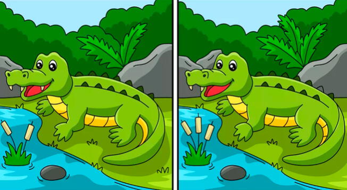 Reto visual: encontrá las diferencias en el dibujo.