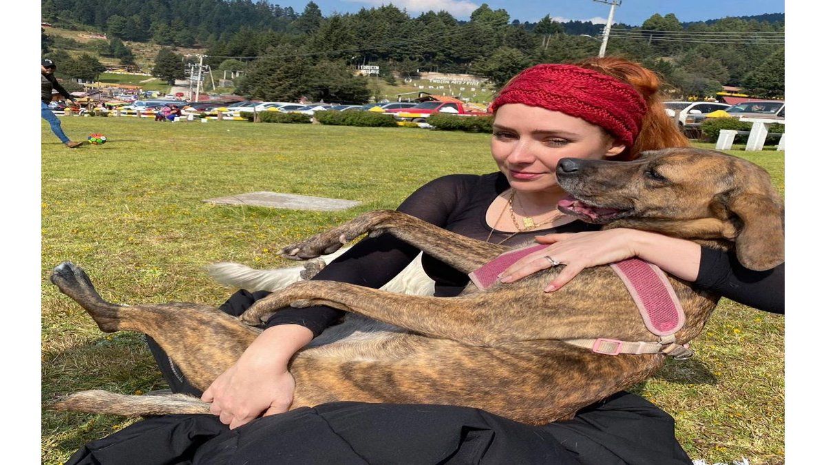 Ariadne Díaz llora la muerte repentina de su perra.