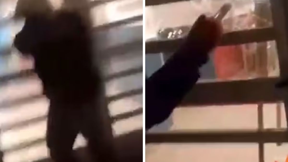 Los adolescentes fueron filmados mientras destruían partes del colegio.