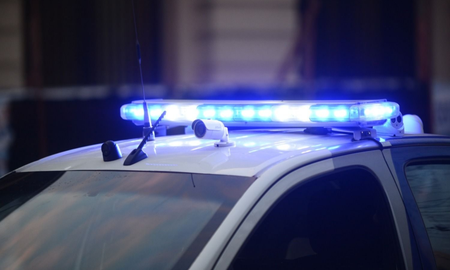 Una mujer fue asesinada tras una pelea porque su perro había matado al perro del vecino Una mujer fue asesinada tras una pelea porque su perro había matado al perro del vecino