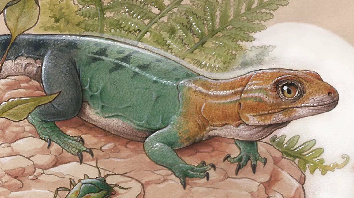 Se cree que este reptil carnívoro existió hace 95 millones de años.