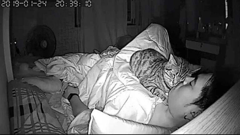 El gato se pone arriba de su dueño mientras este duerme.