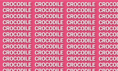RETO VISUAL nivel PRO: solo el 2% encontró la palabra COCODRILO ¡en 7 segundos! RETO VISUAL nivel PRO: solo el 2% encontró la palabra COCODRILO ¡en 7 segundos!