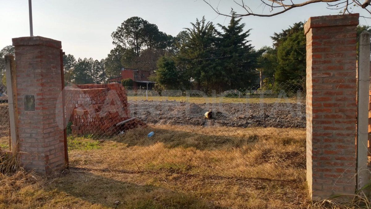 Los propietarios publicaron en las redes sociales el robo que consideran se produjo entre la tarde noche del lunes y la mañana del martes 17 de agosto.