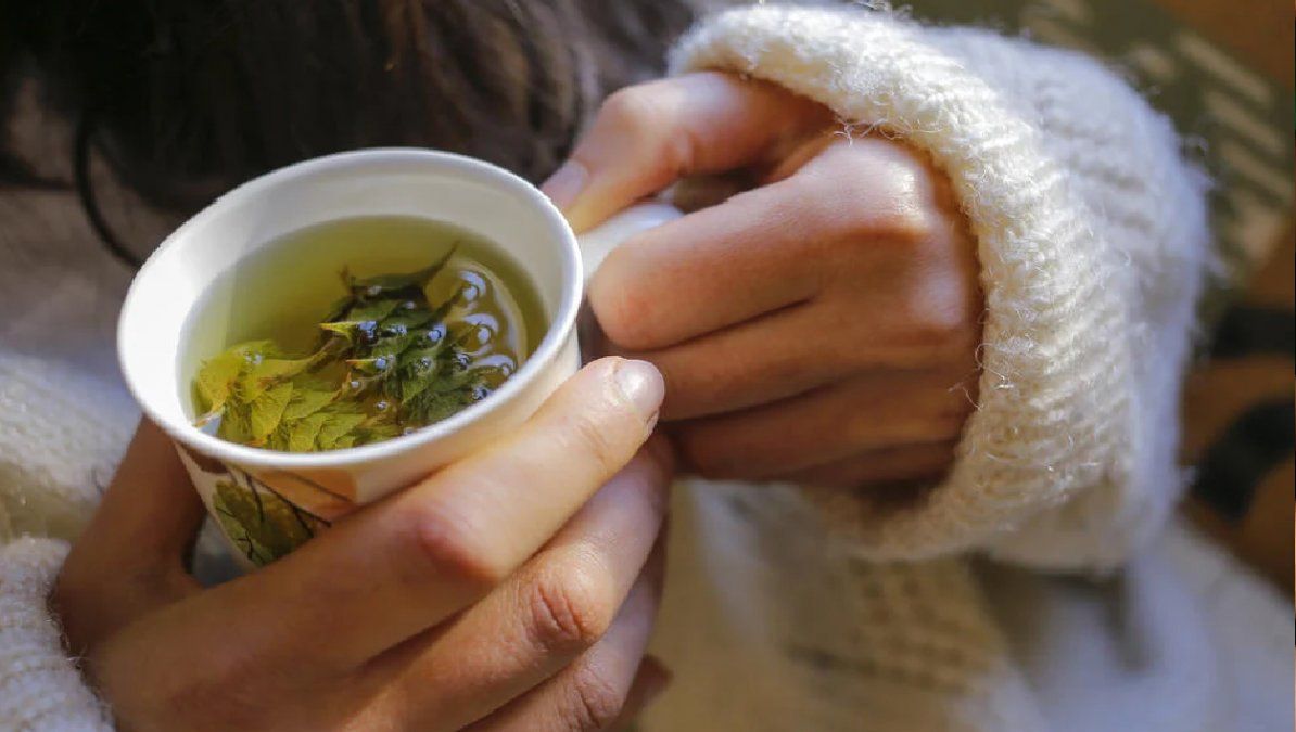 Hierbas para tratar problemas respiratorios