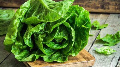 Precios por las nubes: la lechuga cuesta hasta $9.000 el kilo y advierten aumentos en el tomate