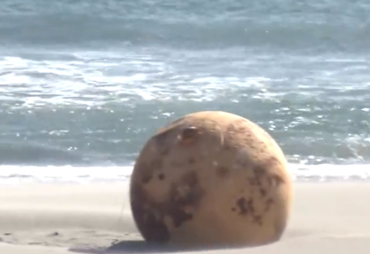 Según la prensa local, el objeto de 1,5 metros de diámetro está oxidado y tiene un saliente en forma de asa que permitiría engancharlo a otro elemento.