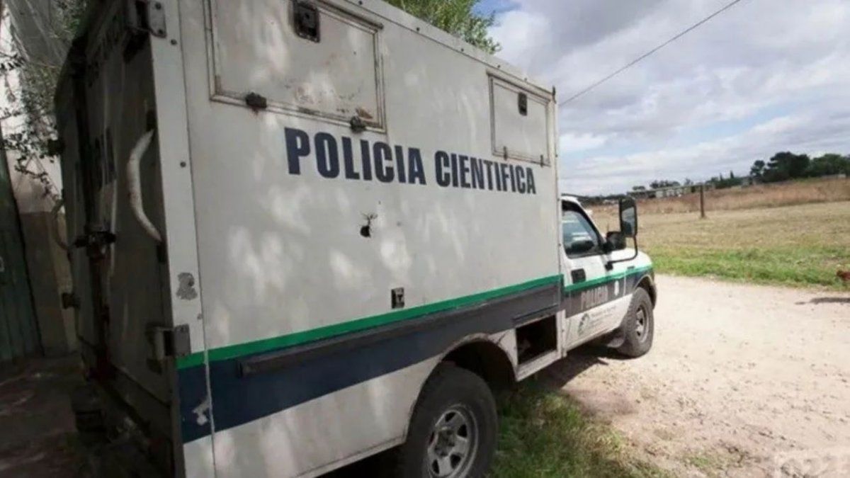 Horror en Mar del Plata: asesinaron a un hombre y una jauría devoró su cadáver