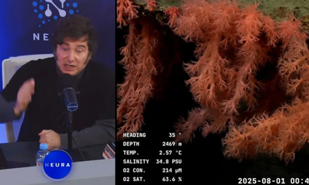 La transmisión en vivo de la expedición científica superó los 52 mil espectadores en simultáneo, mientras que la charla del Presidente en Neura llegó a 33 mil. La transmisión en vivo de la expedición científica superó los 52 mil espectadores en simultáneo, mientras que la charla del Presidente en Neura llegó a 33 mil.