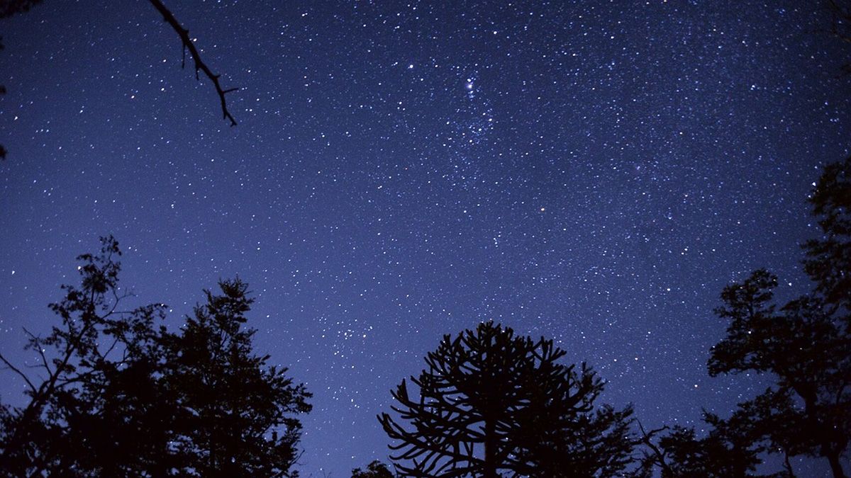 Miles de estrellas pueden verse en un cielo despejado de noche.