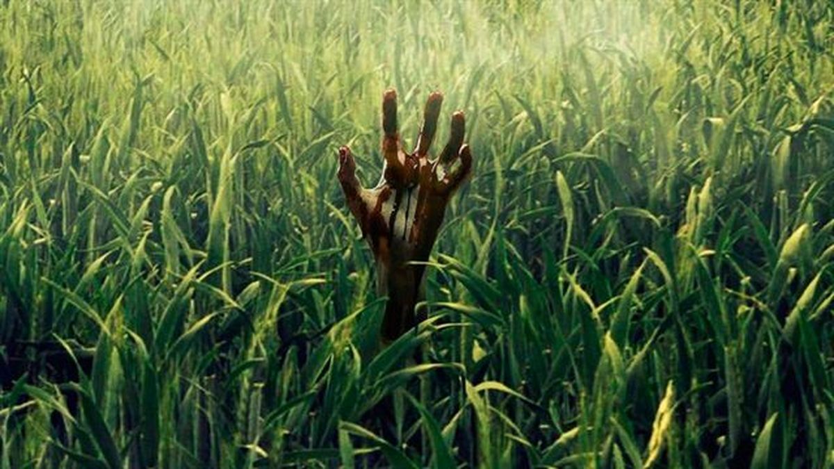 “En la hierba alta” la nueva adaptación de Stephen King para Netflix