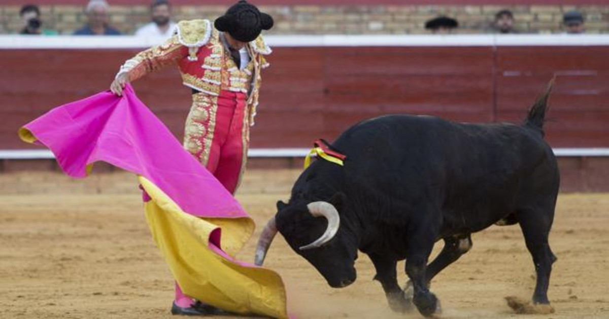 España es uno de los pocos países del mundo que permite las corridas de toros.