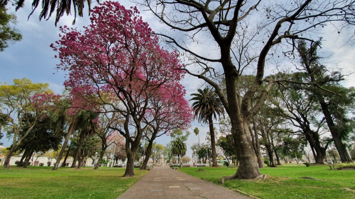 Escapada a San Salvador