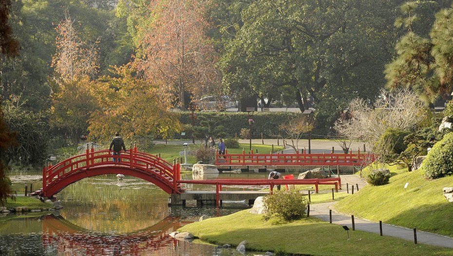 jardin.jpg