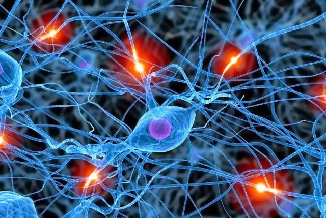 Klotho, la proteína que protege al cerebro del envejecimiento