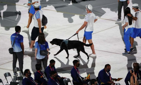 juegos paralimpicos: perros guias se llevan todas las miradas en la inauguracion juegos paralimpicos: perros guias se llevan todas las miradas en la inauguracion