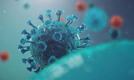 Los anticuerpos monoclonales son moléculas producidas en laboratorio que imitan a los anticuerpos humanos. Los anticuerpos monoclonales son moléculas producidas en laboratorio que imitan a los anticuerpos humanos.