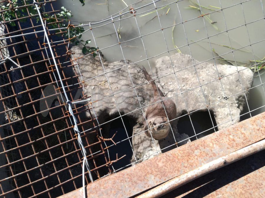 H.E.G quedó en libertad.