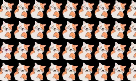 RETO VISUAL nivel PRO: solo el 3% encontró al gato diferente en ¡5 segundos! RETO VISUAL nivel PRO: solo el 3% encontró al gato diferente en ¡5 segundos!