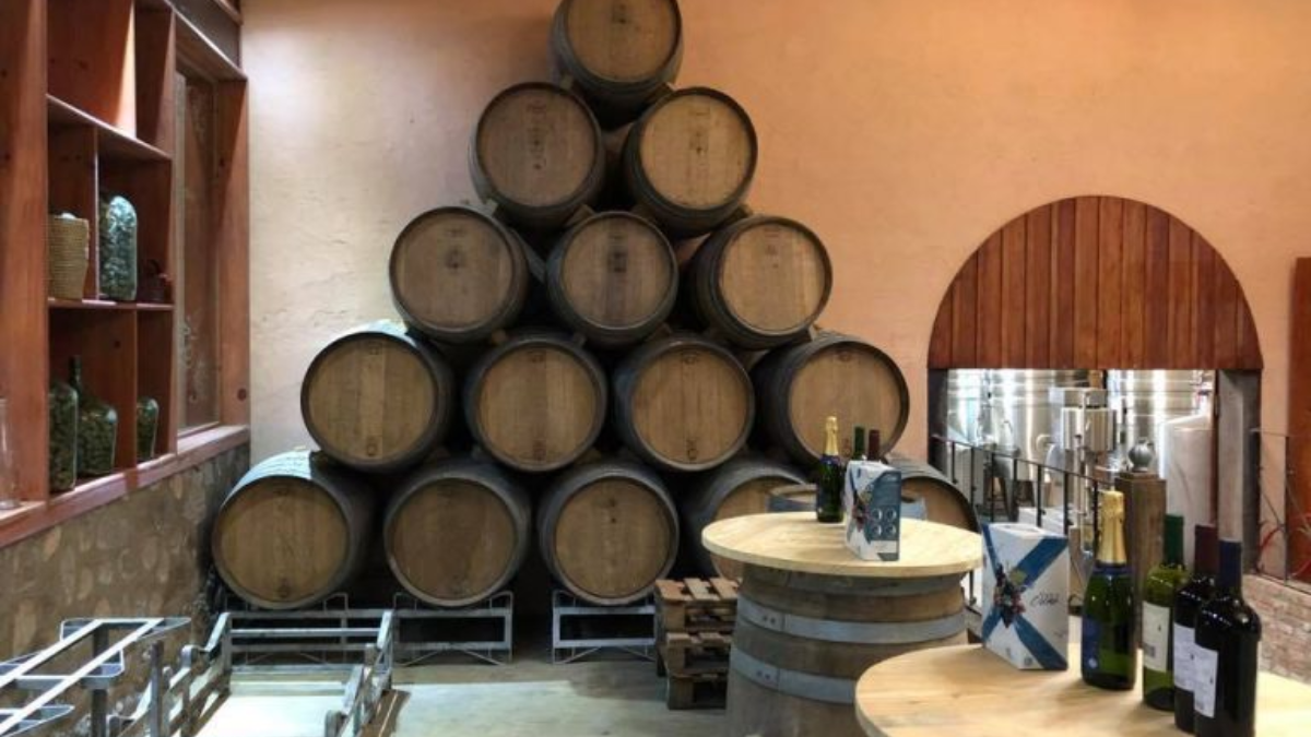 Ideal para los amantes del enoturismo, muy cerca de la localidad se encuentra la Bodega Jairala Oller, un punto especial del Camino del Vino. Ideal para los amantes del enoturismo, muy cerca de la localidad se encuentra la Bodega Jairala Oller, un punto especial del Camino del Vino.