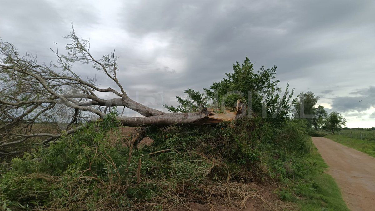 Los destrozos que provocó el gustnado en Cayastá este fin de semana.