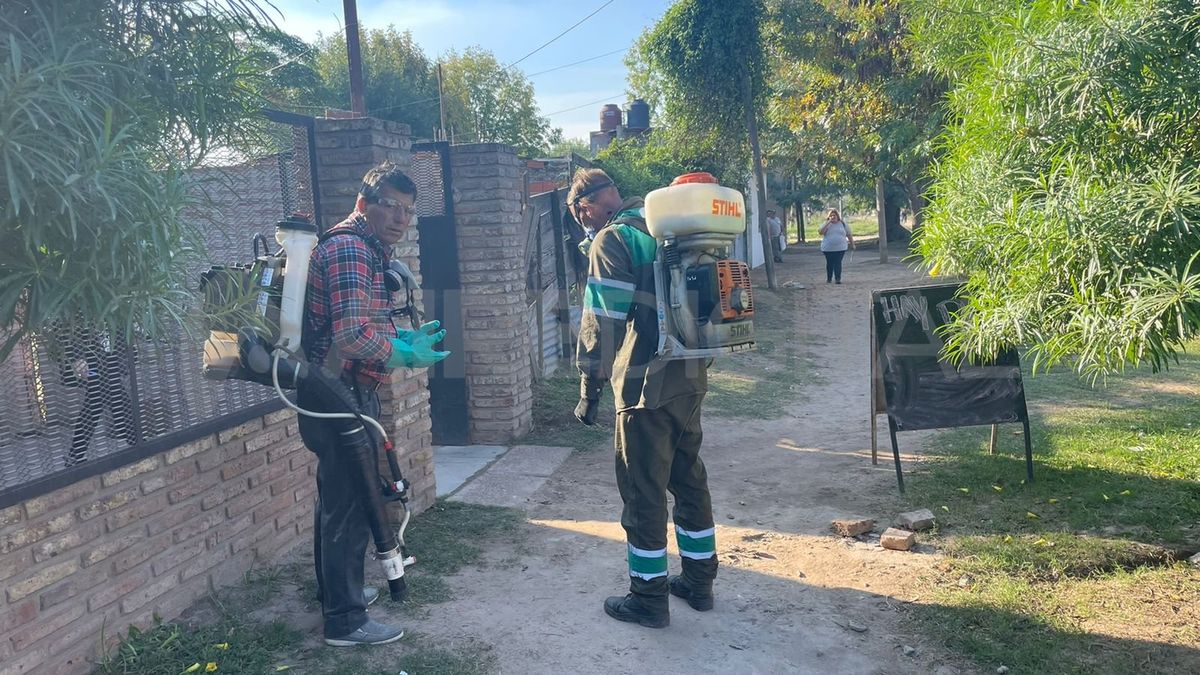 Aumento continuo del dengue: una enfermedad que amenaza con volverse ...