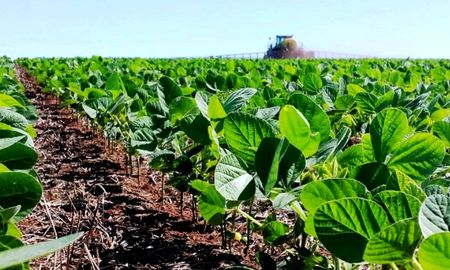 En total queda por incorporar poco más de 1,2 millones de hectáreas. En total queda por incorporar poco más de 1,2 millones de hectáreas.
