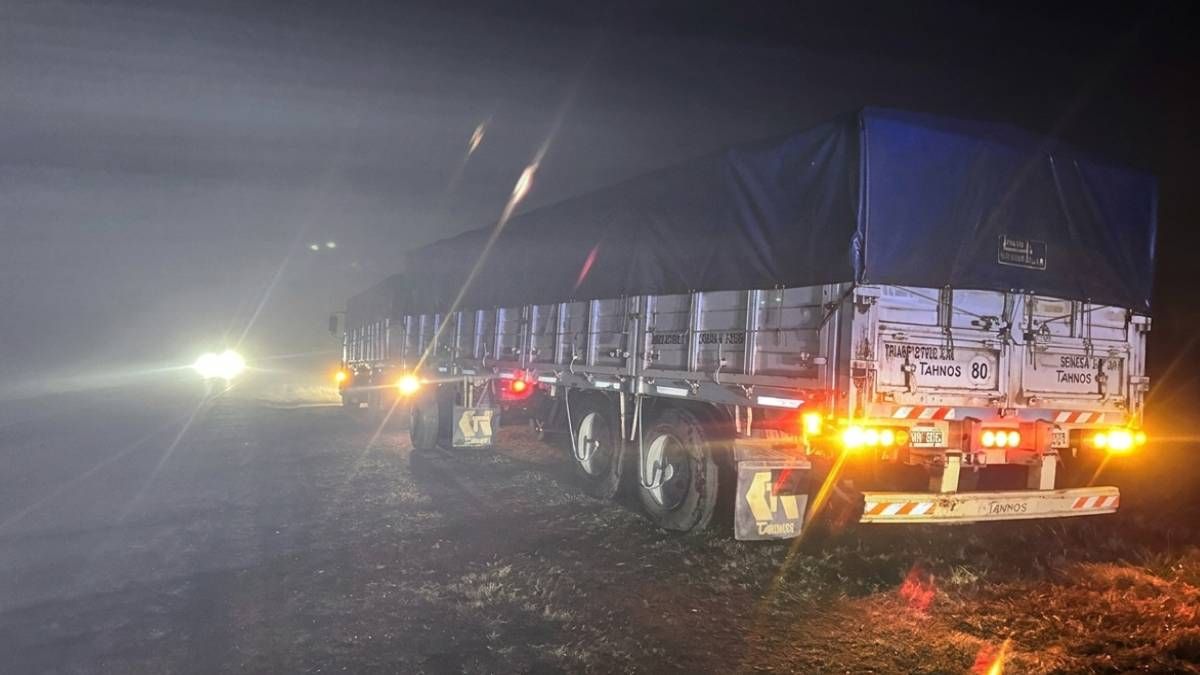 Tras el siniestro, el camión quedó al costado de la calzada.&nbsp;