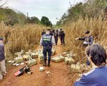 el detras de dos cargamentos de drogas que derivaron en una mega causa en santa fe el detras de dos cargamentos de drogas que derivaron en una mega causa en santa fe
