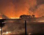 A principios de años la atención del país se centró en la provincia de Corrientes, donde enormes incendios forestales arrasaron entre diciembre de 2021 y marzo de este año más de un millón de hectáreas. A principios de años la atención del país se centró en la provincia de Corrientes, donde enormes incendios forestales arrasaron entre diciembre de 2021 y marzo de este año más de un millón de hectáreas.