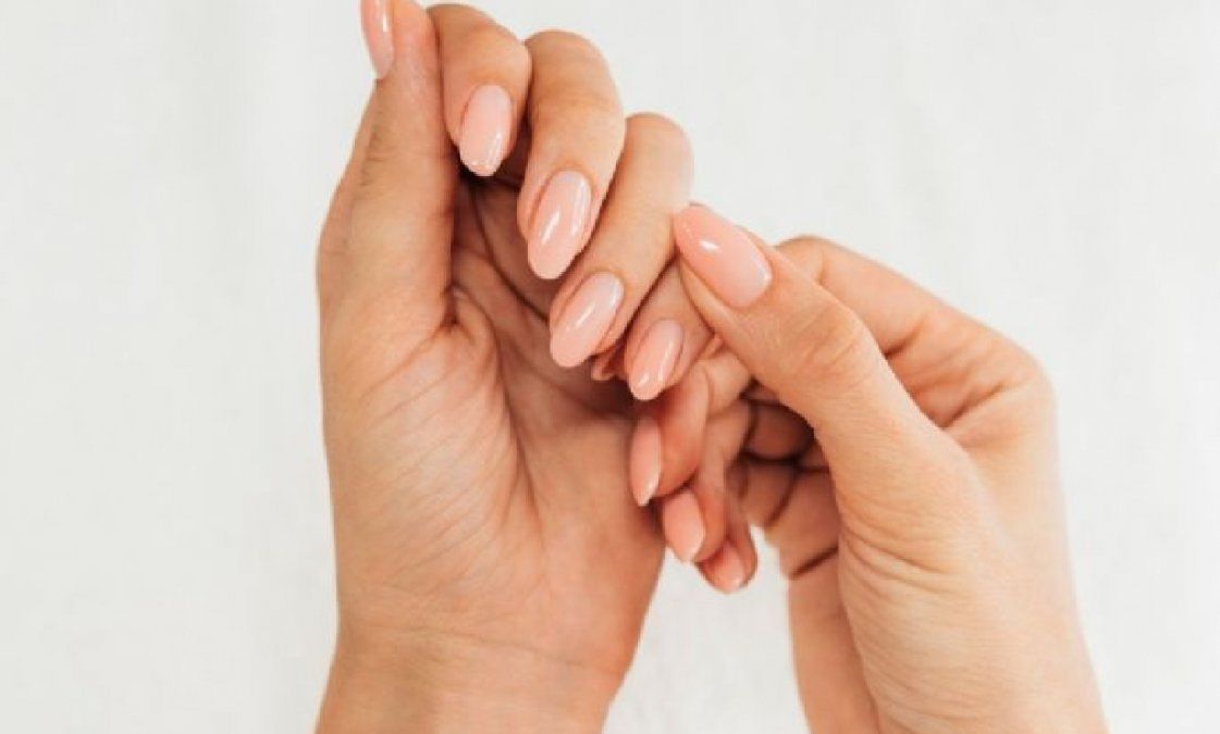 Cómo hacer que crezcan fuertes la suñas con menta y manzanilla