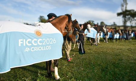 caballos criollos en accion: primeros trofeos para la delegacion argentina en el mundial de montevideo