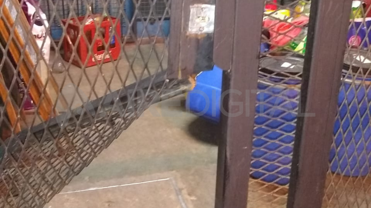 La reja del local quedó inutilizable. Es la tercera vez que la rompen en ocasión de robo. La reja del local quedó inutilizable. Es la tercera vez que la rompen en ocasión de robo.