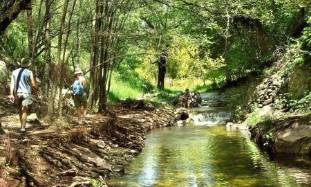 Descubrí un rincón escondido en Córdoba con cascada y senderos naturales para recorrer. Descubrí un rincón escondido en Córdoba con cascada y senderos naturales para recorrer.