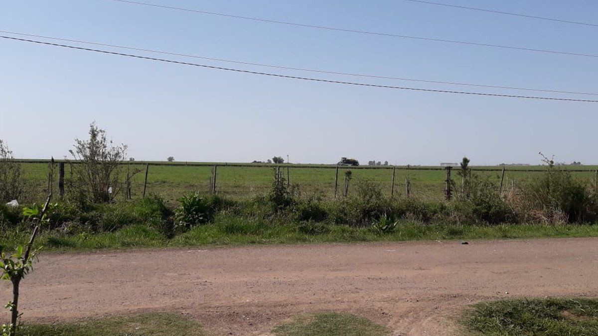 Una vecina de Cañada de Gómez denunció a un productor vecino