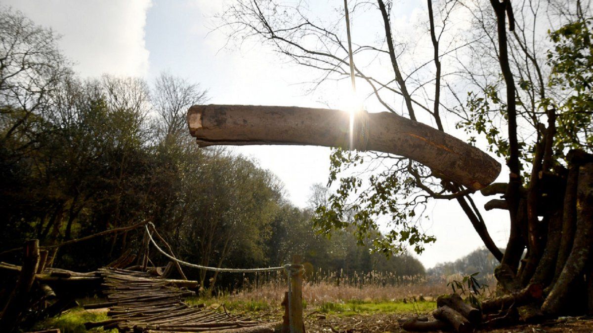Viral: inexplicable cómo levita una joven cuando cae al agua desde una hamaca