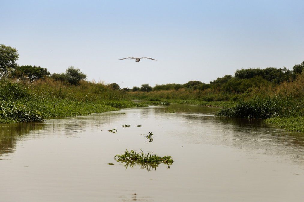 El escenario global marcado por el cambio climático preguntas con final abierto y pocas certezas. El escenario global marcado por el cambio climático preguntas con final abierto y pocas certezas.