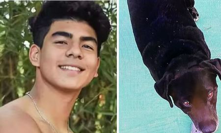 El documental sobre Fernando Báez Sosa reveló el relato inesperado de un perro callejero. El documental sobre Fernando Báez Sosa reveló el relato inesperado de un perro callejero.