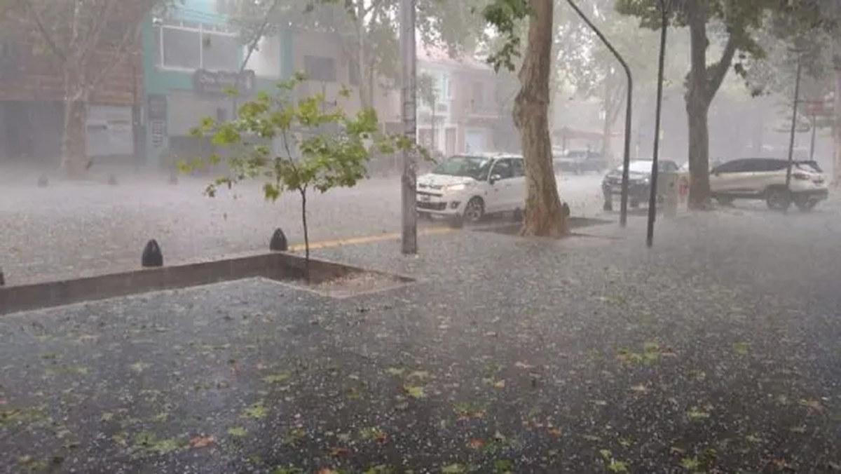 Entre las recomendaciones, el SMN indicó no sacar la basura, evitar actividades al aire libre y no refugiarse cerca de árboles y postes de electricidad que puedan caerse.