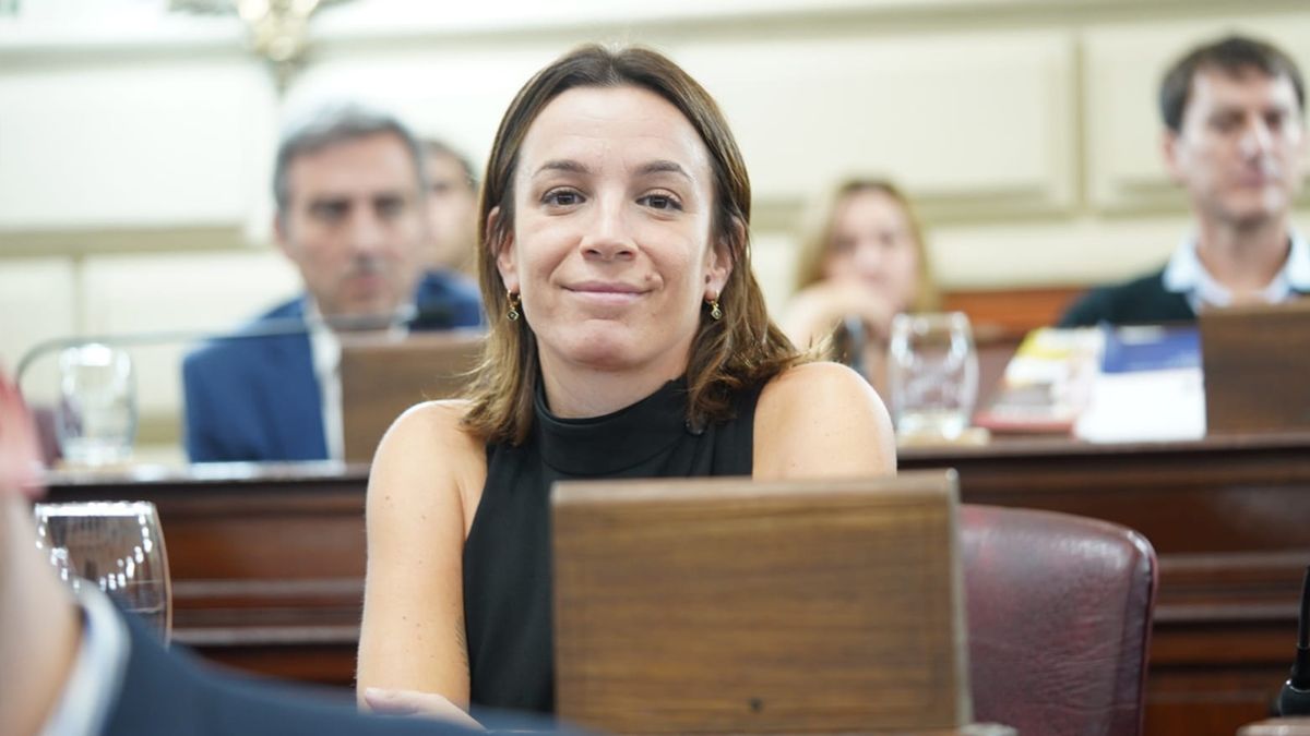 La diputada del Movimiento Evita Lucila De Ponti buscará este año renovar su banca en la Legislatura provincial.