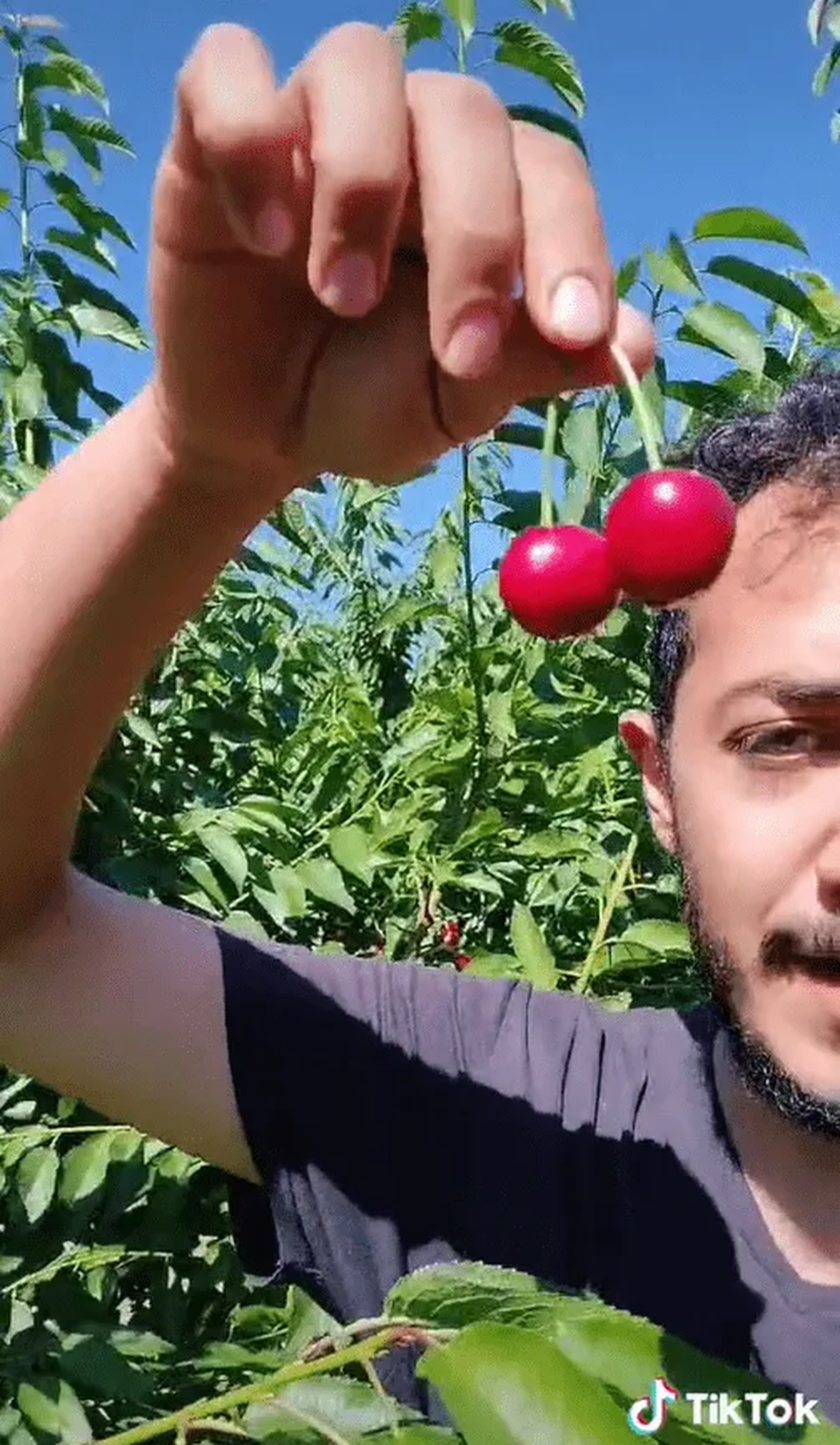 Walter, el granjero mexicano que labura en Canadá y es viral en TikTok.