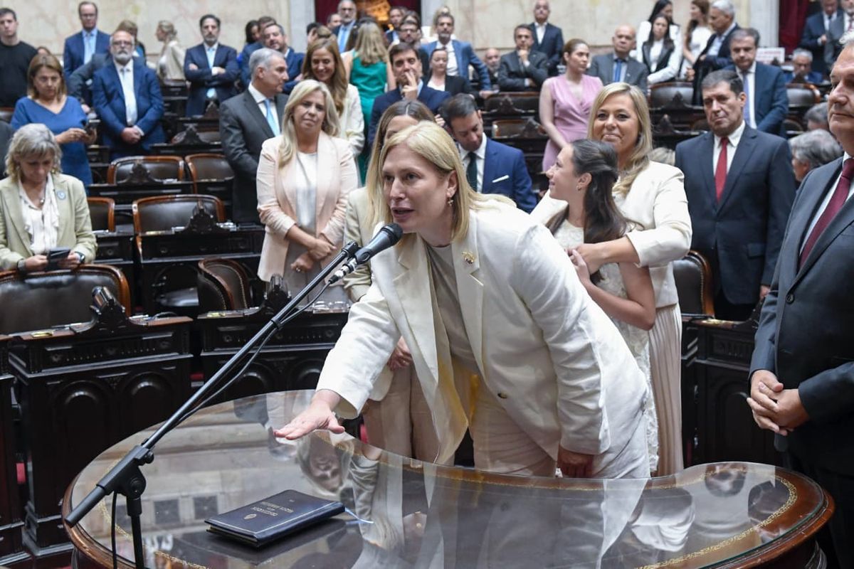 Gisela Scaglia, presidenta del bloque Provincias Unidas, reclamó que los cambios en inteligencia se discutan en el Parlamento.