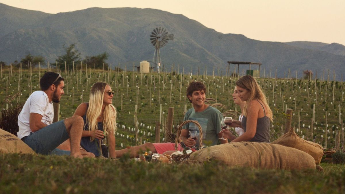 Los viñedos locales, como Nébula, aprovechan el microclima de las Sierras Chicas para producir vinos de autor, diversificando la oferta turística más allá del clásico perfil veraniego. Los viñedos locales, como Nébula, aprovechan el microclima de las Sierras Chicas para producir vinos de autor, diversificando la oferta turística más allá del clásico perfil veraniego.