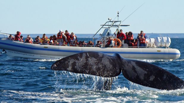 PuertoMadryn tiene ocupación plena de sus 7.000 camas.