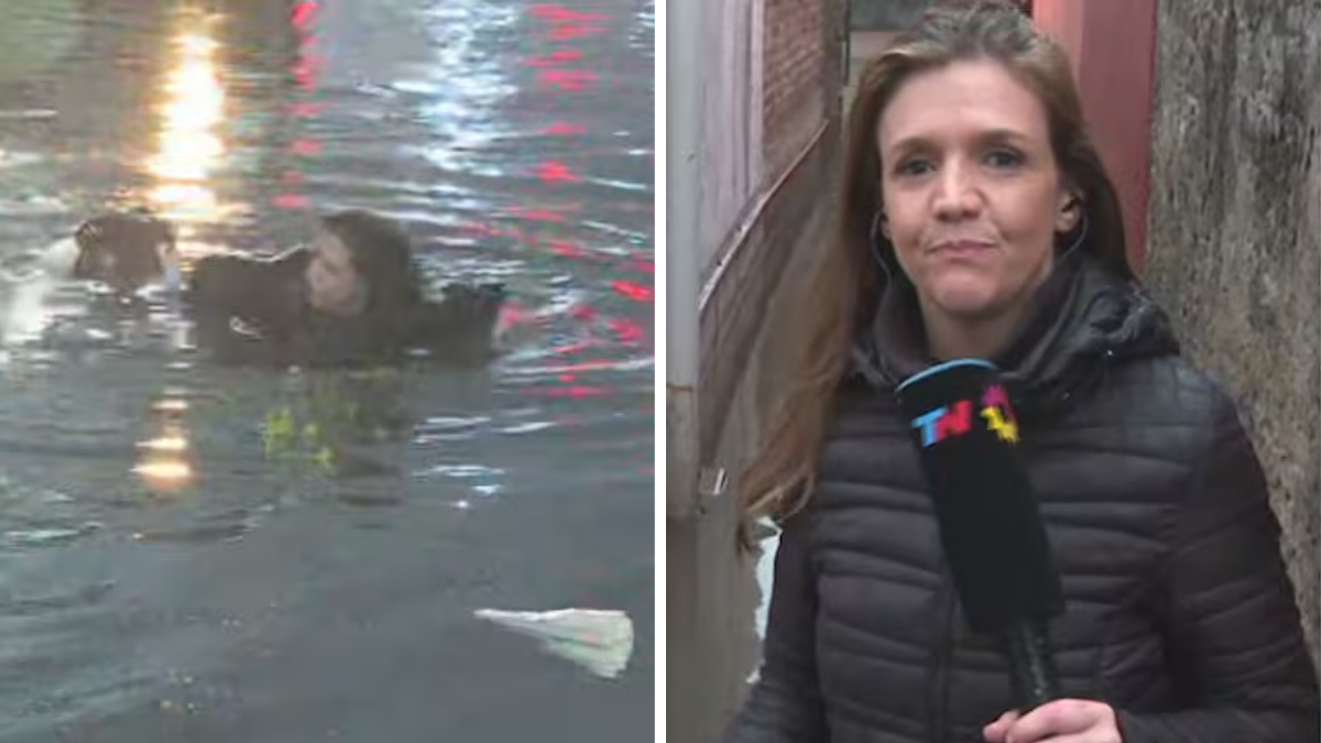 Una periodista de TN se cayó en plena inundación: el terrible video del golpe