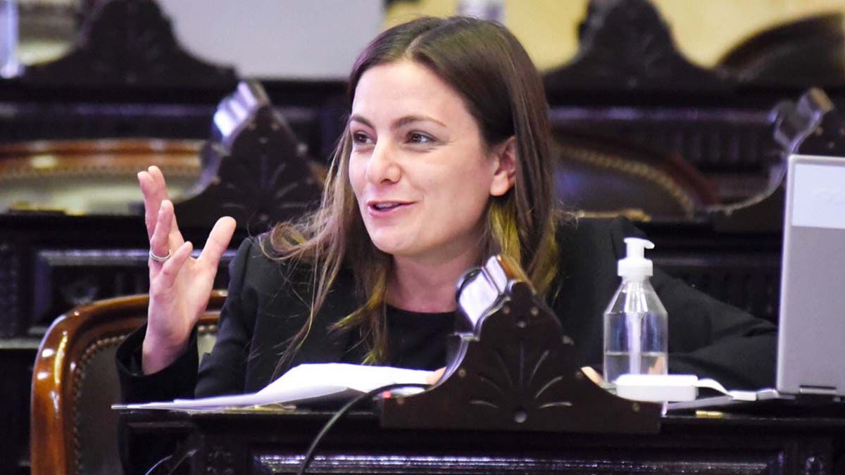 Siley fundamentó la iniciativa ante los