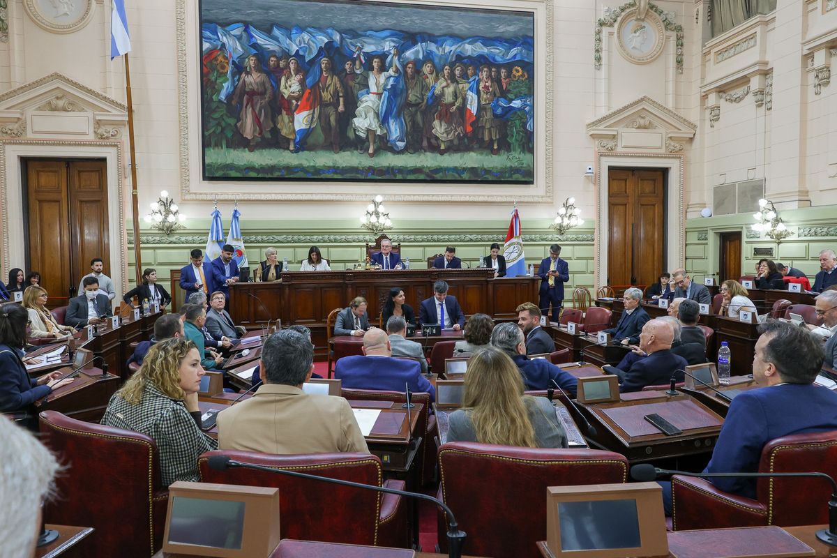 Senadores, senadoras, diputados y diputadas llevaron adelante una sesión conjunta en la que se trató la situación de la fiscal del Ministerio Público de la Acusación (MPA), María Verónica Ballari.